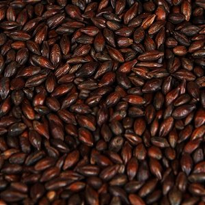 MALTE CARAFA® TIPO 1