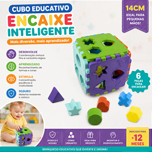 Brinquedo Educativo Cubo de Encaixe Infantil 14cm Coordenação Motora e Raciocínio