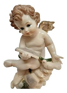 Anjo Querubim Estatua Resina Batizado Decoração Anjinhos LIVRO