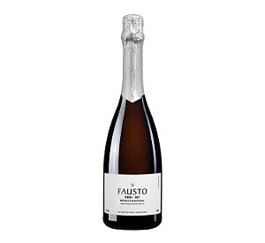 FAUSTO DEMI-SEC - TRADICIONAL 750ML -VINHO BRANCO ESPUMANTE NAT.
