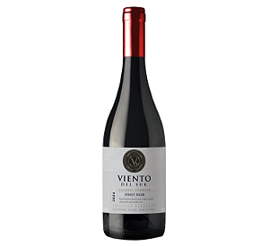 Vinho Fino TINTO Seco VIENTO DEL SUR PINOT NOIR 750ML