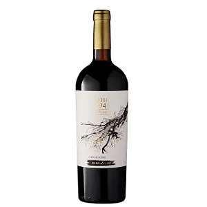 vinho Clos de Luz Massal Carmenere tinto seco chile 2022 750ml