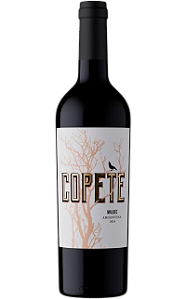 vinho Marchiori e Barraud Copete Malbec tinto seco argentina 2024 750ml