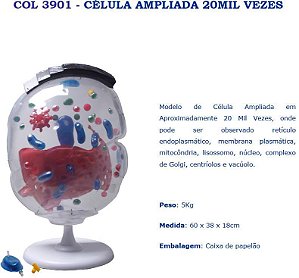 COL 3901 - CÉLULA AMPLIADAD 20MIL VEZES
