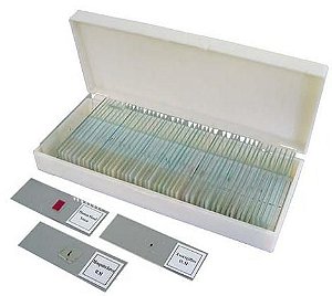 LÂMINAS PREPARADAS PARA ENSINO MÉDIO