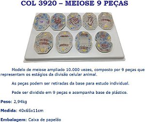 COL 3920 - MEIOSE 9 PEÇAS