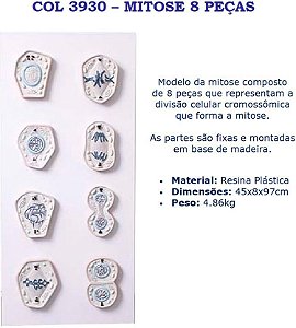 COL 3930 - MITOSE 8 PEÇAS