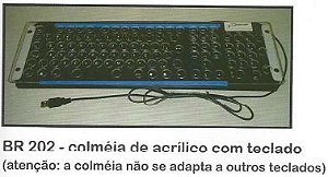 Colmeia em acrilico