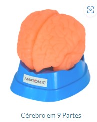 CÉREBRO EM 08 PARTES