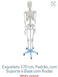 ESQUELETO 1,70 COM SUPORTE