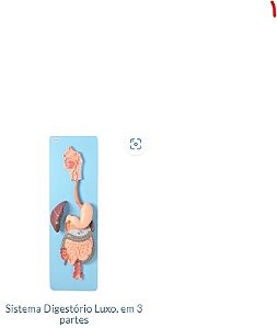 SISTEMA DIGESTÓRIO LUXO EM 03 PARTES
