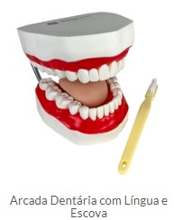 ARCADA DENTÁRIA COM LÍNGUA E ESCOVA