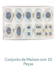 CONJUNTO DE MEIOSE COM 10 PARTES