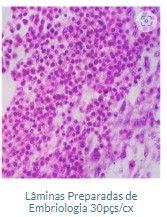 LÂMINA PREPARADA DE EMBRIOLOGIA 30 PÇS