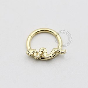AR58 Segmento Cobra Frontal Aço Banho Ouro