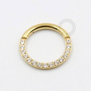 TN301 Segmento Frontal Cravejado Titânio PVD Gold