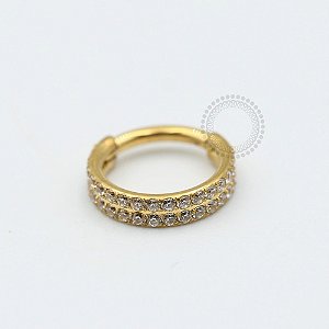 PVD26 Segmento Cravejado Duplo Aço PVD Gold