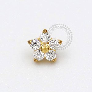 TN779 Topo Flor Cinco CZ com Miolo Titânio PVD Gold