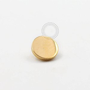 TN1010 Topo Chapiado Titânio PVD Gold
