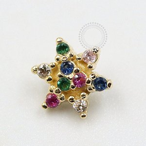 OR77 Topo Flor Rainbow Ouro 18K (0,28g)