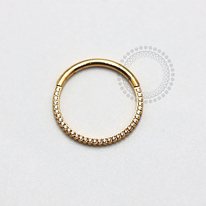 TN1184 Segmento  Cravejado Inca Titânio PVD Gold (OUTLET)