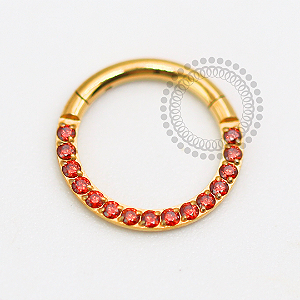 TN1616 Segmento Frontal Cravejado CZ Garnet Titânio PVD Gold