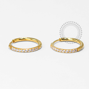 TN1668 Par De Brincos Argola Lux 12mm Titânio PVD Gold