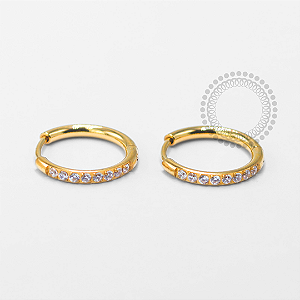 TN1728 Par De Brincos Argolinha Lux  8mm Titânio PVD Gold