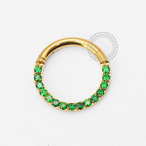 TN1857 Segmento Frontal CZ Esmeralda Titânio PVD Gold