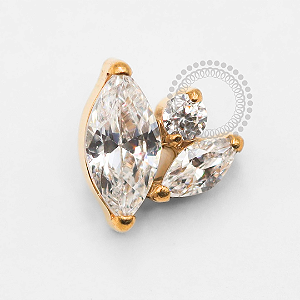 TN1889 Topo 2 Pétalas e 1 Ponto De Luz Titânio PVD Gold