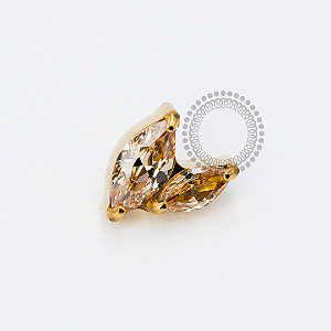 TN1917 Topo 2 Pétalas Champanhe Titânio PVD Gold