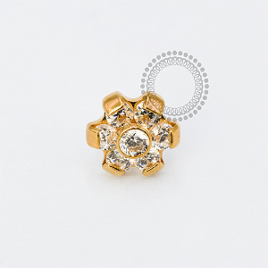 TN1920 Topo Flor Miolo CZ Push Pin Titânio PVD Gold
