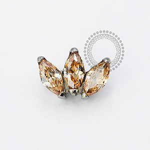 TN1932 Topo Trevo Champanhe Titânio ASTM F-136