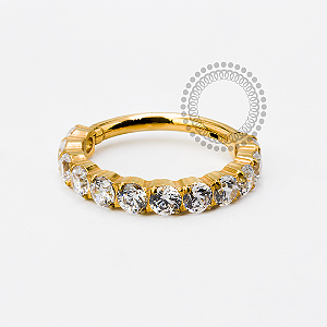 TN1939 Segmento Cravejado 12 CZ Titânio PVD Gold