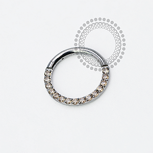 TN1945 Segmento Frontal CZ Champanhe Titanio ASTM F136