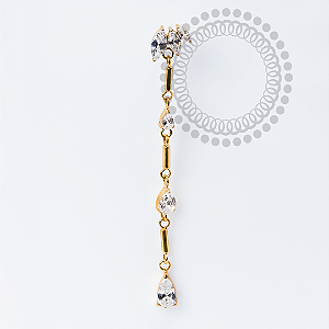 TN1969 Topo Pétalas Max Pingente CZ Titânio PVD Gold