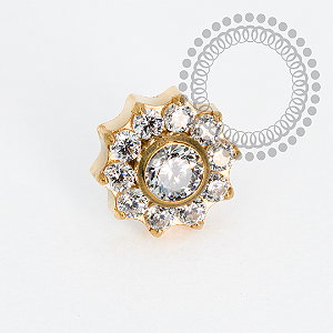 TN1983 Topo Flor 10 Pétalas CZ Push Pin Titânio PVD Gold