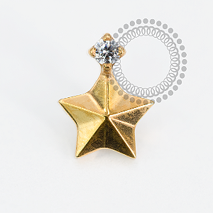 TN2014 Topo Estrela Facetada CZ Titânio PVD Gold