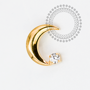 TN1992 Topo Lua Crescente CZ Titânio PVD Gold