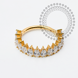 TN1964 Segmento Coroa 10 CZ Titânio PVD Gold