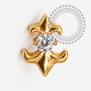 TN2027  Topo Flor De Lis CZ Titânio PVD Gold