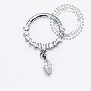 TN2055 Segmento Frontal Cz Pingente 8mm Titânio ASTM F136