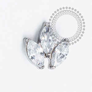 TN2080 Topo Trio Navetes CZ Titânio PVD GOLD