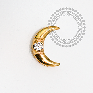 TN2082 Topo Mini Lua CZ Crescente Titânio PVD Gold