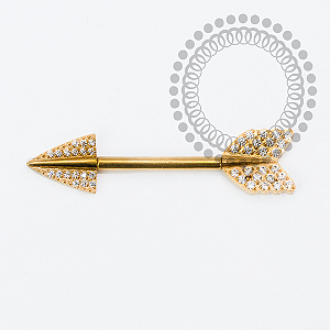 TN2151 Nipple Flecha CZ  Push Pin  Titânio PVD Gold