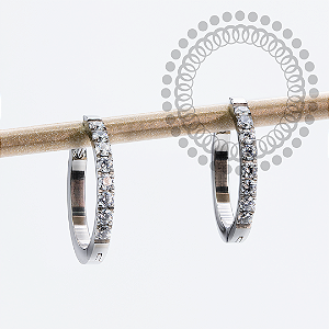 TN2130 Brinco Argola CZ Haste Reta 14mm Titânio