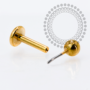 TN2142 Labret Push Pin Titânio PVD Gold