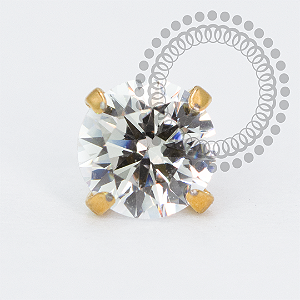 TN2125 Topo Zirconia Titânio PVD Gold
