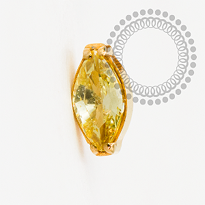 TN2186 Topo Navete CZ Amarelo Push Pin Titânio PVD Gold