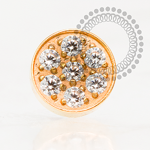 TN2189 Topo  Disco Cravejado CZ Push Pin Titânio PVD GOLD